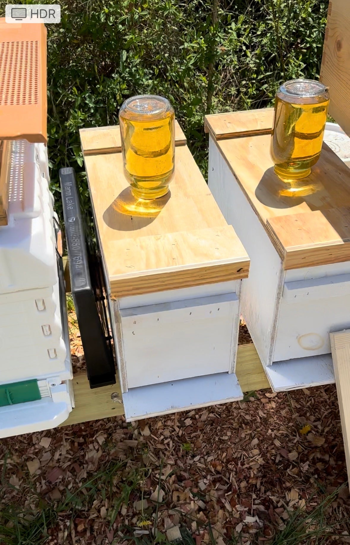 Bee Nucs-Spring 2026 Preorders