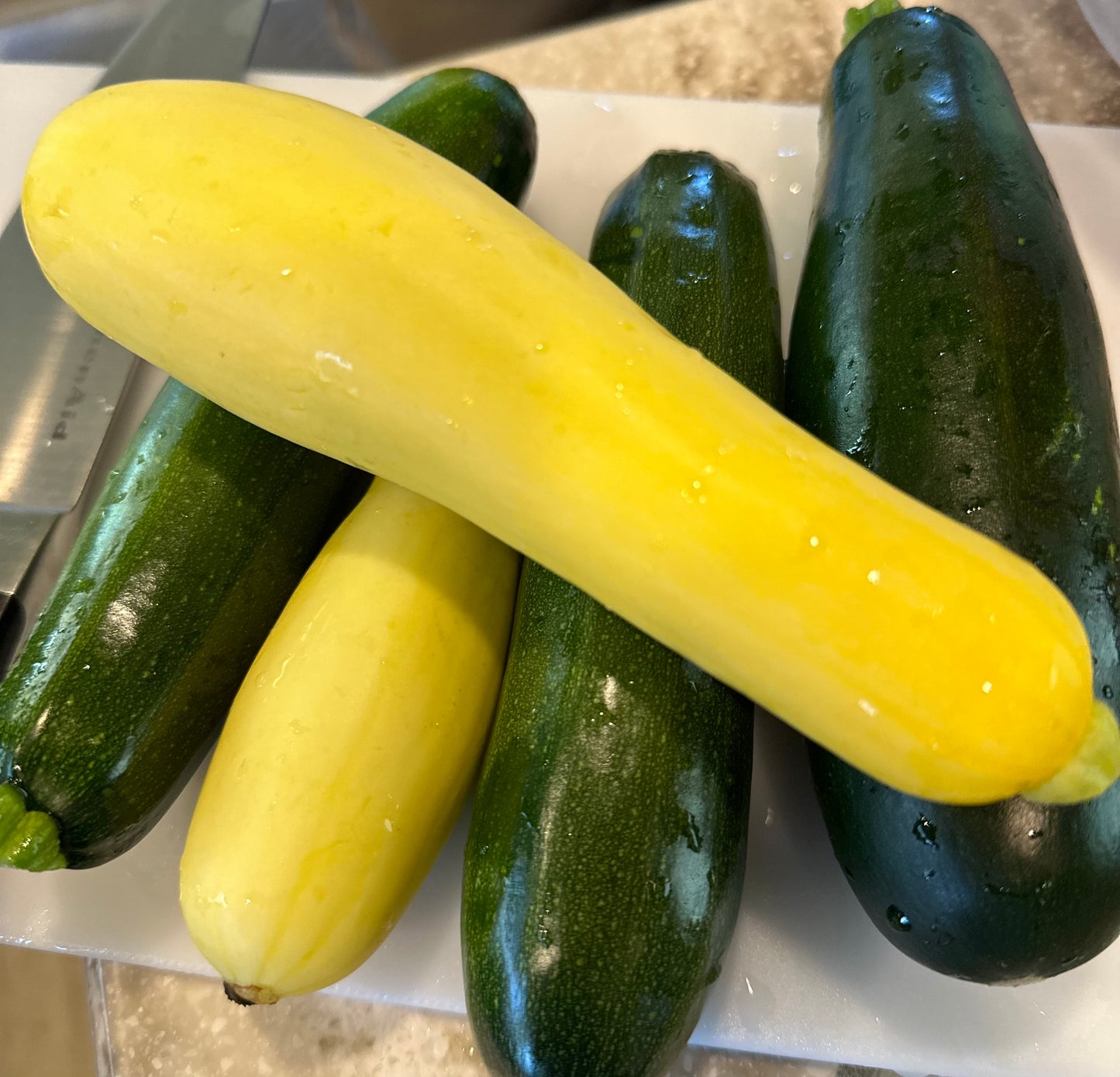 Farm Fresh Zucchini and Squash