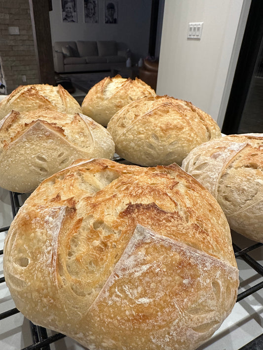 Pre-Order: Original Sourdough Boule