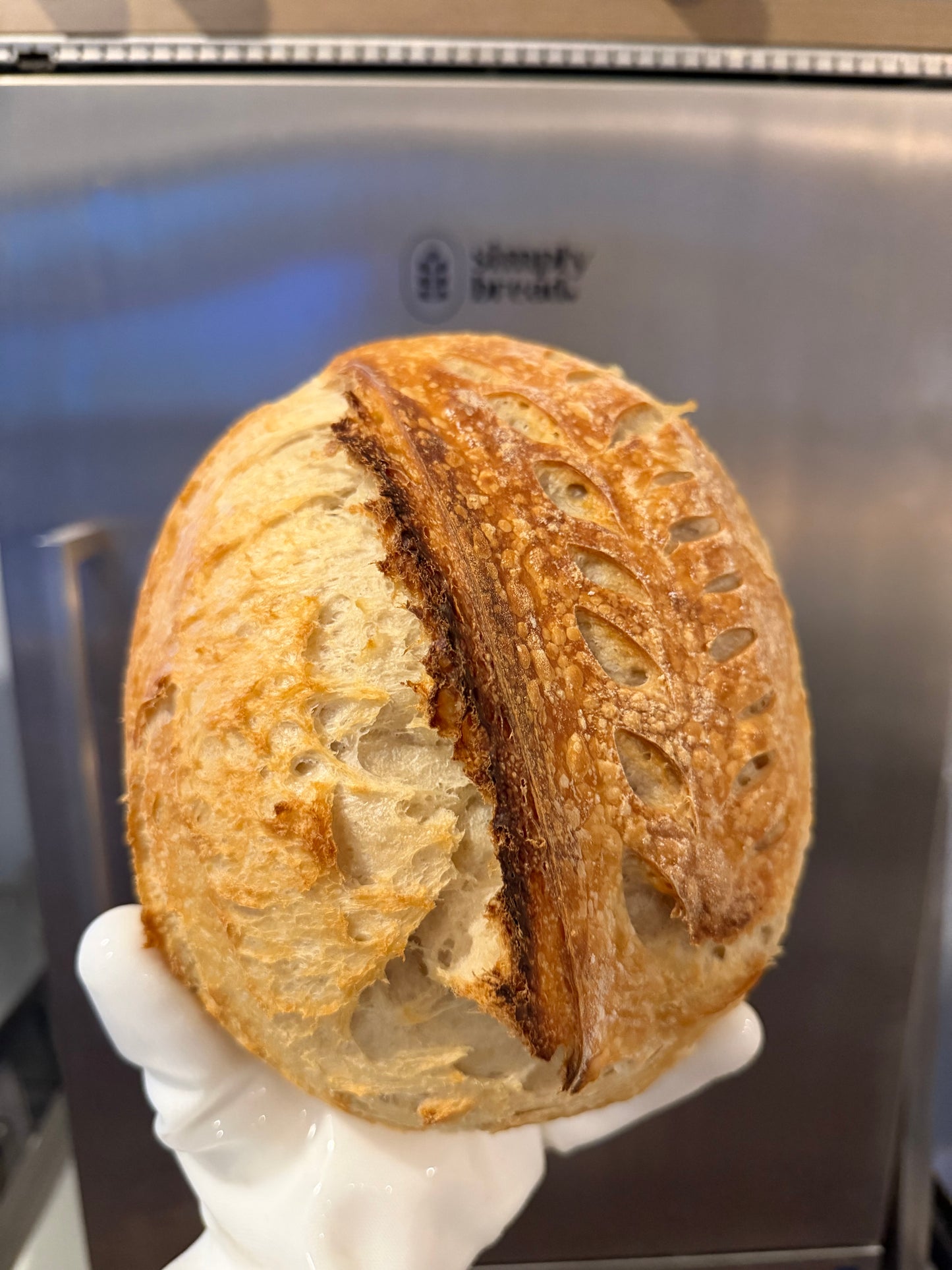 Pre-Order: Original Sourdough Boule